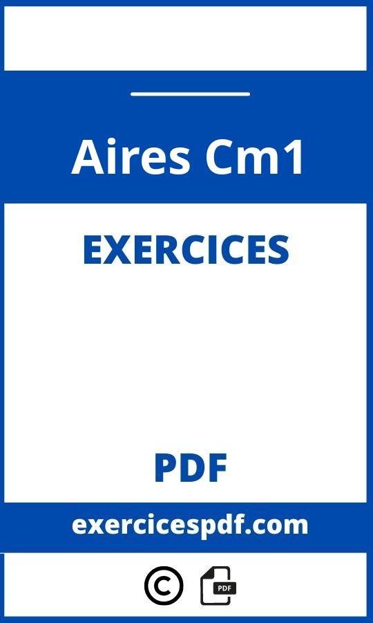 Exercices Aires Cm1 Pdf