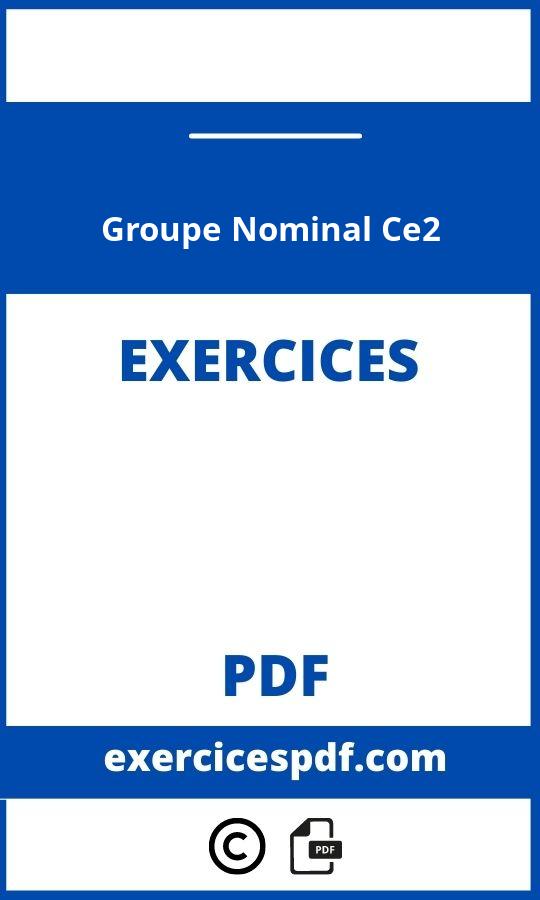 Exercices Groupe Nominal Ce2